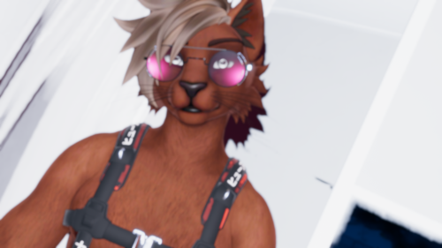 VRChat_2025-10-01_18-09-57.774_2560x1440.png
