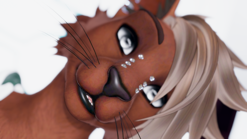 VRChat_2025-10-01_18-45-19.329_2560x1440.png