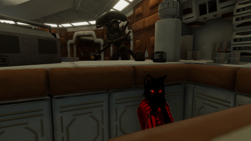 VRChat_2025-09-13_21-16-32.126_2560x1440.png