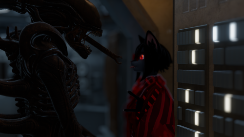 VRChat_2025-09-13_21-53-37.600_2560x1440.png