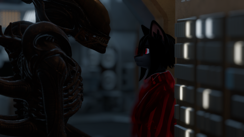 VRChat_2025-09-13_21-54-25.038_2560x1440.png