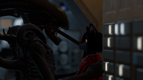 VRChat_2025-09-13_21-54-40.971_2560x1440.png