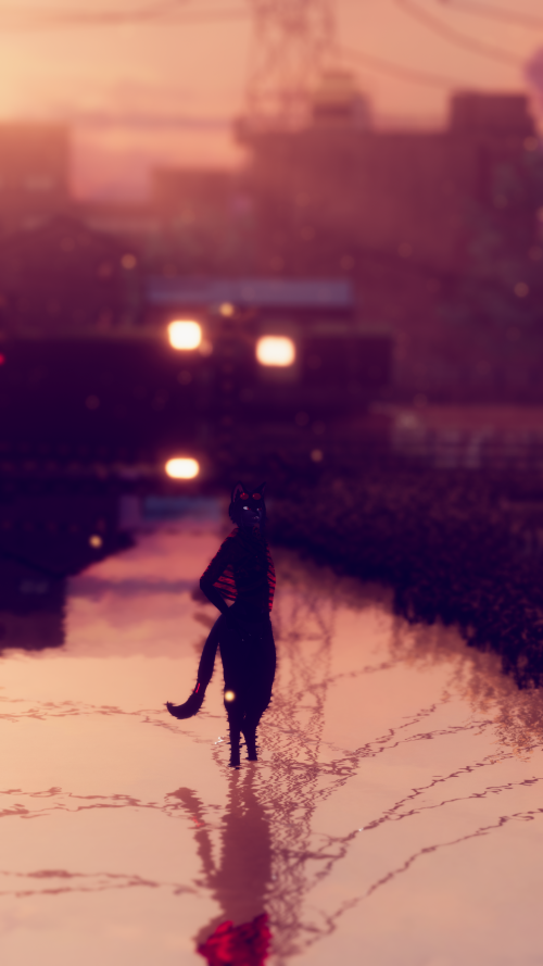 VRChat_2025-10-08_21-44-13.127_1440x2560.png