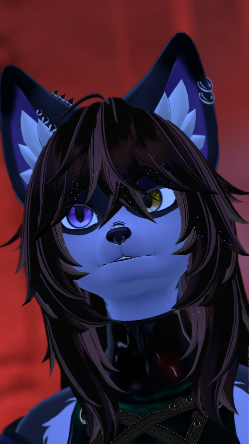 VRChat_2025-10-10_21-31-15.788_3840x2160.png