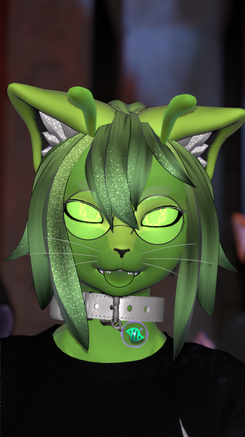 VRChat_2025-10-11_00-03-53.048_3840x2160.png