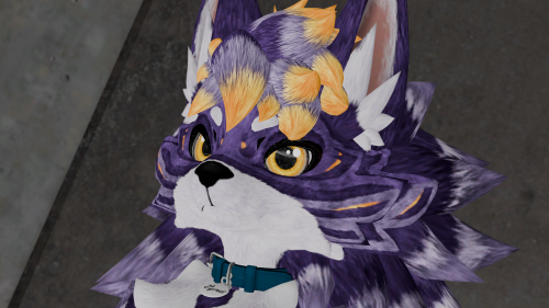 VRChat_2025-10-11_20-03-51.860_3840x2160.png