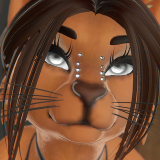 VRChat_2025-11-01_17-14-33.866_1440x2560