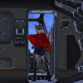 VRChat_2025-11-13_22-04-14.923_1440x2560