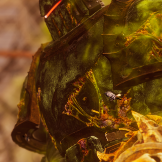 VRChat_2025-11-20_20-35-38.153_1440x2560