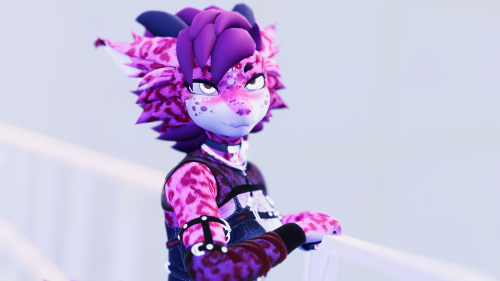 VRChat_2025-11-21_20-24-18.689_2560x1440.png