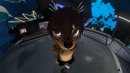 VRChat_2025-11-24_20-55-23.795_1920x1080.png