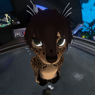 VRChat_2025-11-24_20-55-23.795_1920x1080