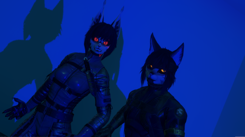 VRChat_2025-11-27_00-29-09.982_3840x2160.png