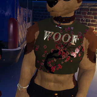 VRChat_2025-12-13_05-49-37.900_2160x3840
