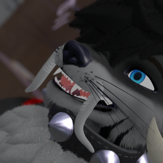 VRChat_2026-01-10_11-35-34.360_3840x2160