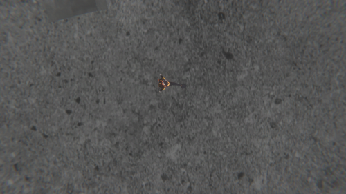 VRChat 2026 01 10 12 15 42.324 3840x2160