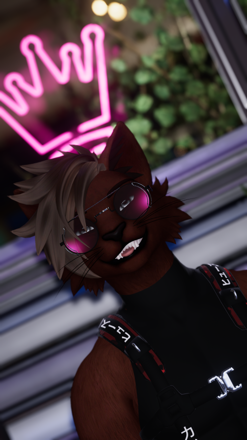 VRChat_2026-01-26_18-02-56.330_2560x1440.png