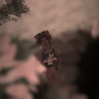 VRChat_2026-01-26_18-26-51.759_2560x1440