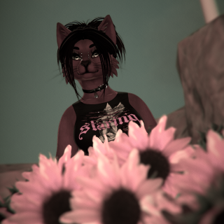 VRChat_2026-01-26_18-28-40.061_1440x2560