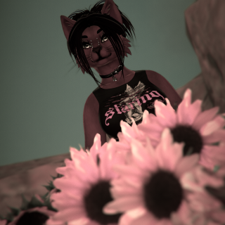 VRChat_2026-01-26_18-28-43.005_1440x2560