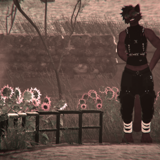 VRChat_2026-01-26_18-30-57.835_2560x1440