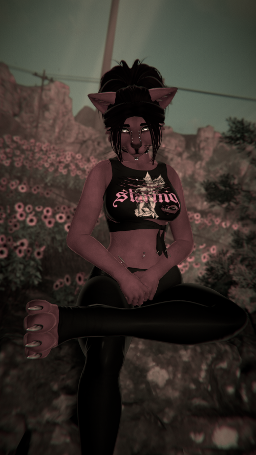 VRChat 2026 01 26 18 40 51.921 2560x1440