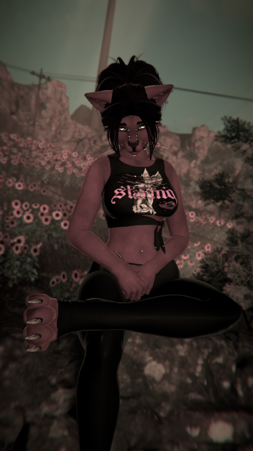 VRChat 2026 01 26 18 41 04.965 2560x1440