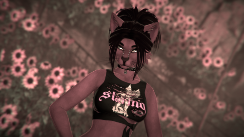 VRChat 2026 01 26 18 43 26.071 2560x1440