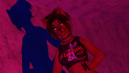 VRChat 2026 01 26 18 51 44.389 2560x1440