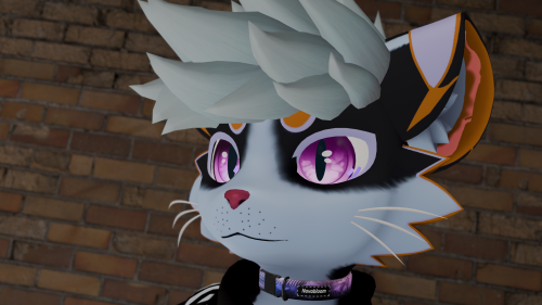 VRChat_2026-02-22_21-07-43.227_3840x2160.png
