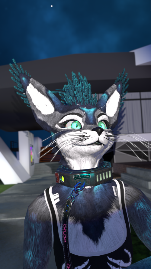 VRChat 2026 02 24 20 21 28.538 3840x2160