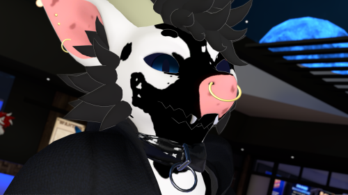 VRChat 2026 03 12 22 24 02.790 3840x2160