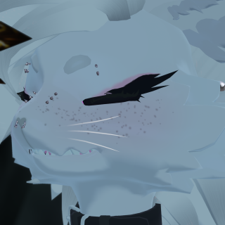 VRChat_2026-05-08_14-46-08.241_3840x2160