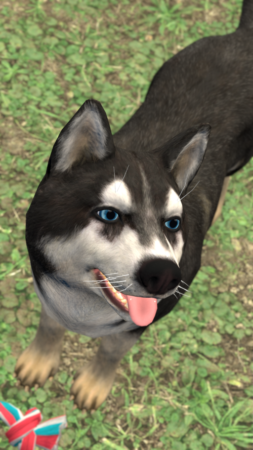 VRChat_2026-05-29_00-56-32.754_3840x2160.png