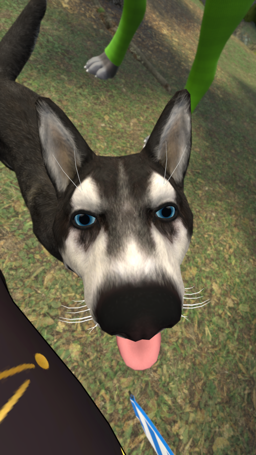 VRChat_2026-05-29_00-58-55.694_3840x2160.png