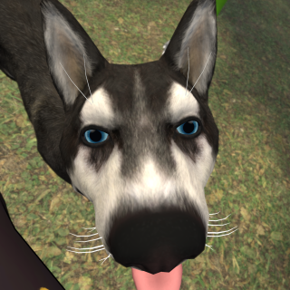 VRChat_2026-05-29_00-58-55.694_3840x2160