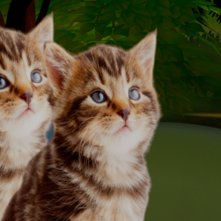 VRChat_2026-06-07_16-49-01.854_3840x2160